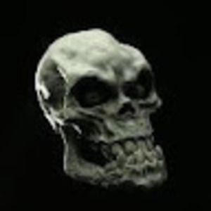 Meet your Posher, Steve